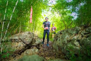 BIB: 
                            <button type="button" onclick="openModal(22087385)" class="btn btn-primary btn-sm float-right btn-popup" data-toggle="modal" data-target=".modal-high-quality">
                        <i class="fas fa-shopping-cart"></i> Add to Cart
                    </button>
                                            <button type="button" onclick="isThisMe(22087385, true)" class="btn btn-success btn-sm float-right btn-popup btn-isme hidden" data-toggle="tooltip" data-placement="bottom" title="นี่คือรูปของคุณใช่ไหม คลิกที่นี่เพื่อเอาเข้าอัลบั้ม">
                        <i class="fas fa-plus"></i> Add to album
                    </button>
                    <button type="button" onclick="isThisMe(22087385, false)" class="btn btn-warning btn-sm float-right btn-popup btn-isnotme hidden">
                        <i class="fas fa-ban"></i> Remove from album
                    </button>